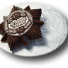 Орден «Лучший тренер» — форма пластиковая для шоколада