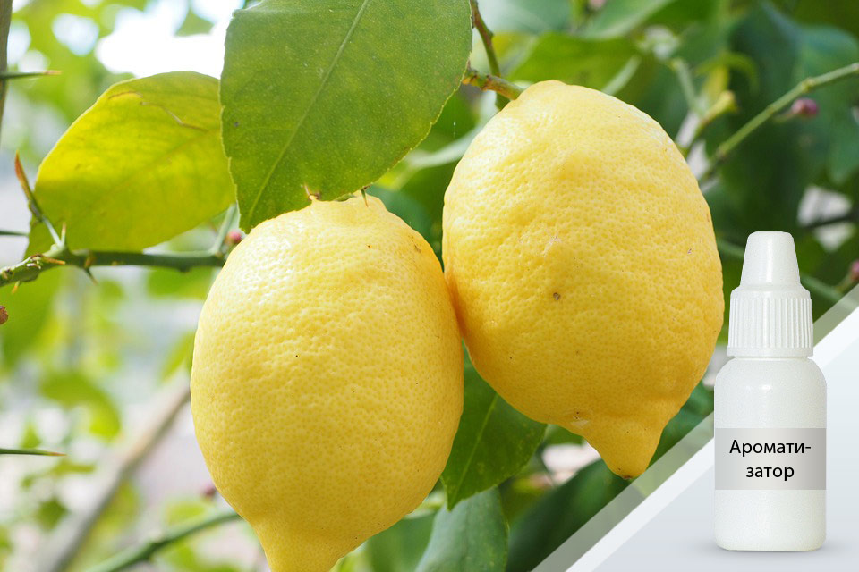 Лимон (нат) — ароматизатор пищевой