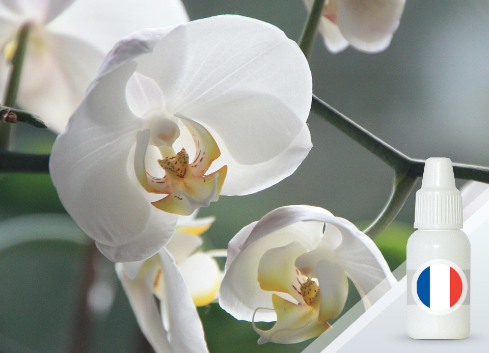 Орхидея и ваниль — отдушка косметическая