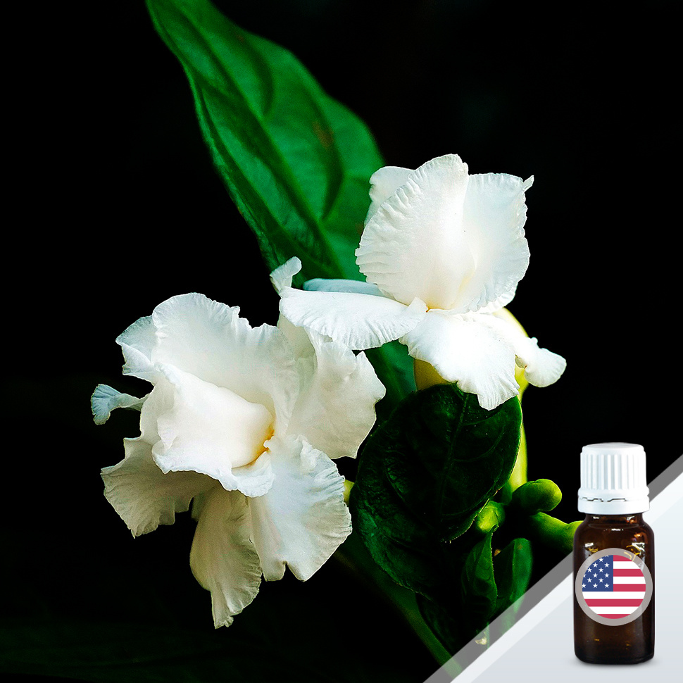 Белая гардения (White Gardenia) — отдушка косметическая