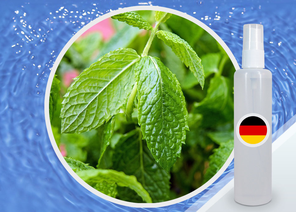 Стандартизированная цветочная вода Мяты (Германия)