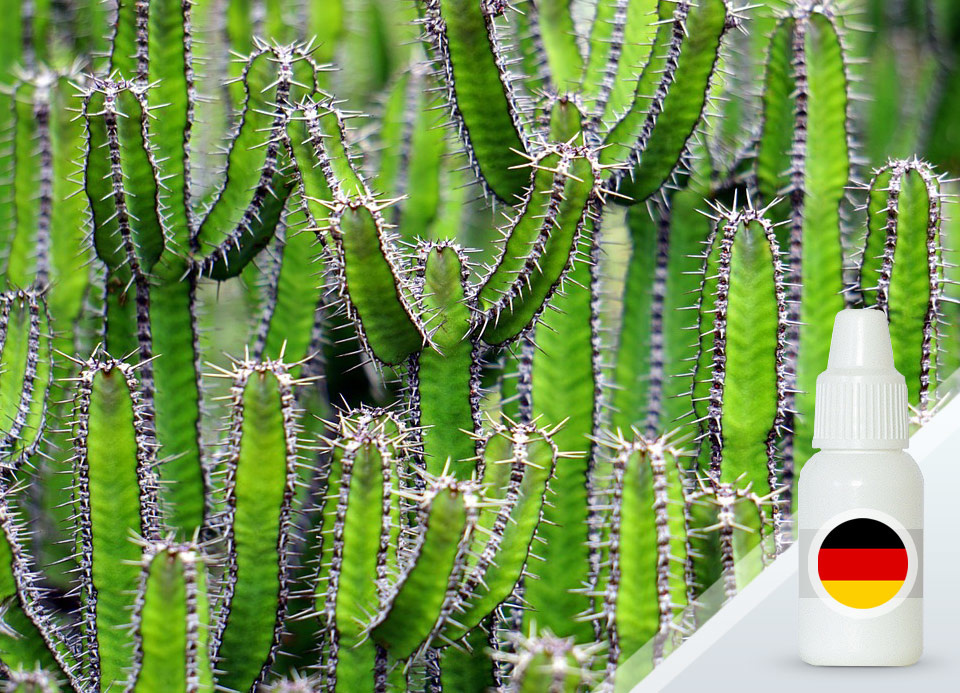 Экзотический кактус (Exotic Cactus) — отдушка косметическая