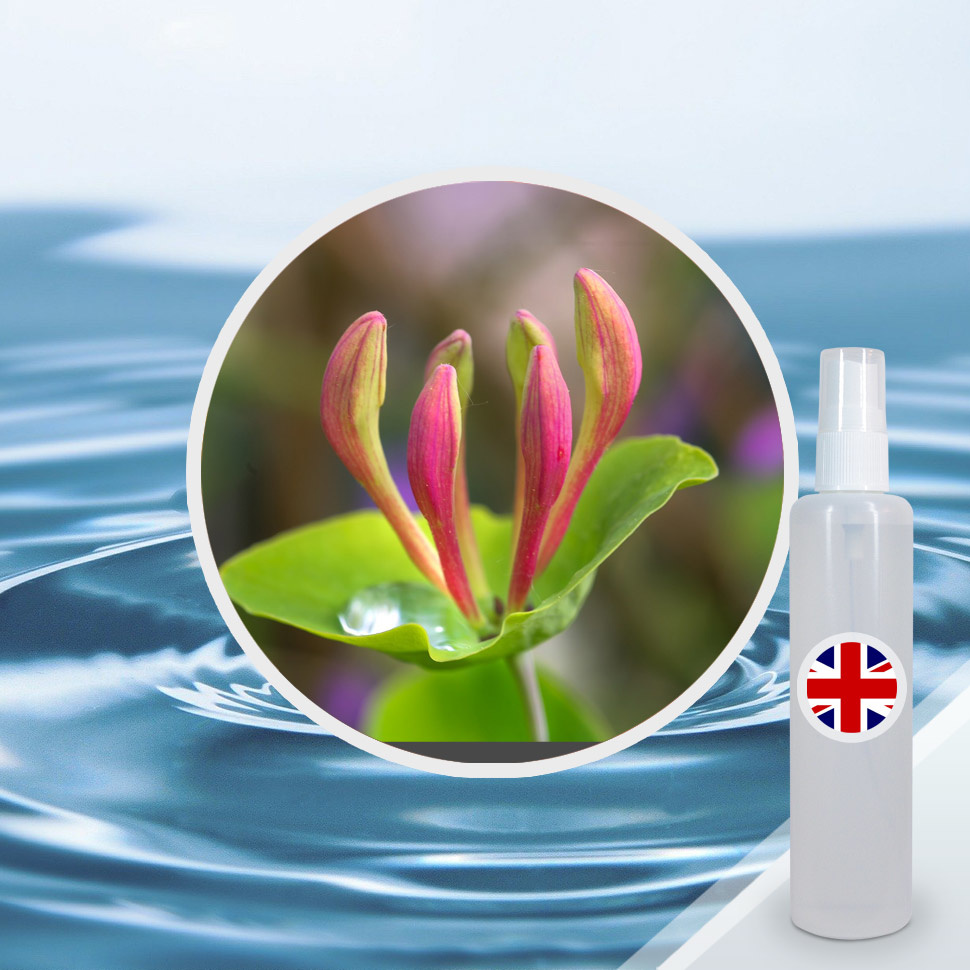 Стандартизированная цветочная вода Жимолости (Великобритания)