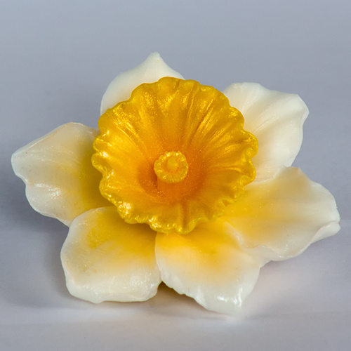 Нарцисс 3D — форма силиконовая для мыла