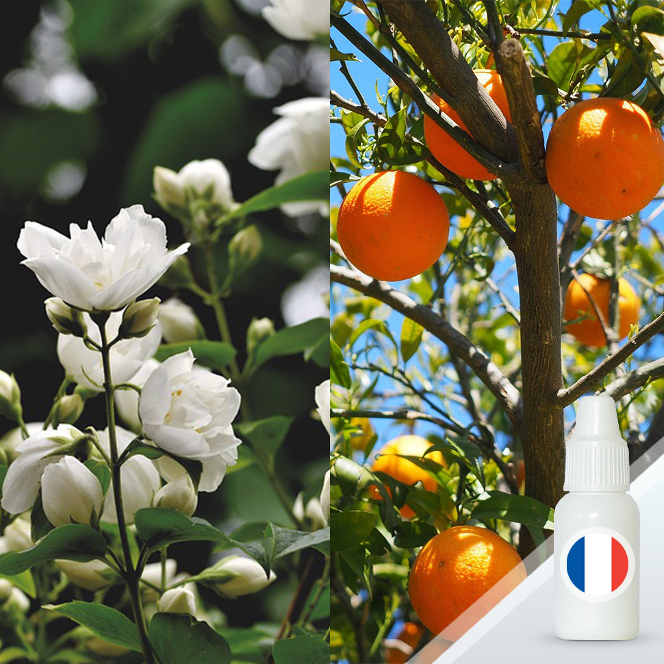 Апельсин, жасмин и ваниль (по мотивам Zielinski&Rozen) - ароматизатор свечной