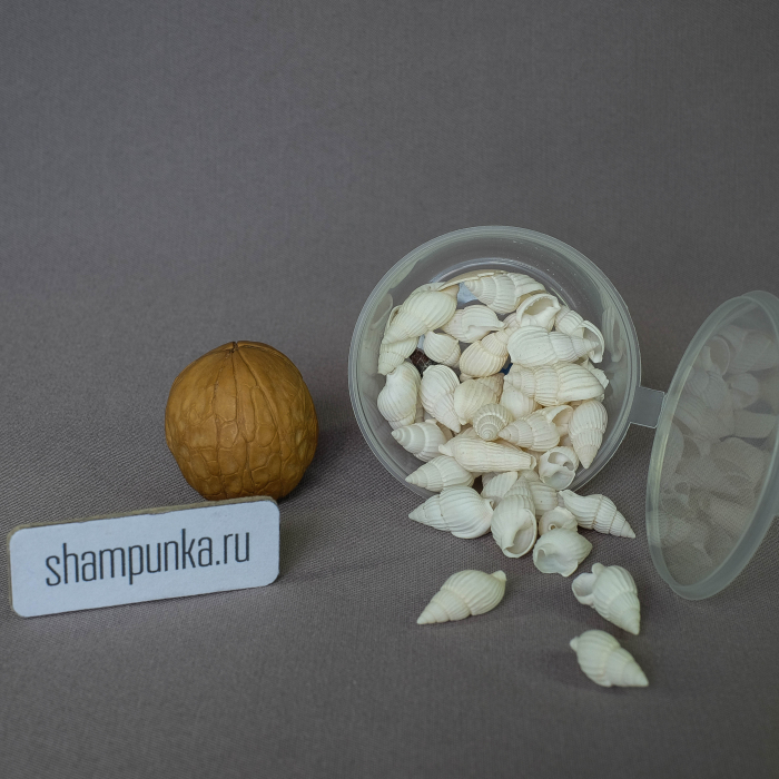 Ракушки морские Nassarius white (Белый Нассариус)